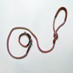 Zara Multi-Coloured Braided Leash and Collar
